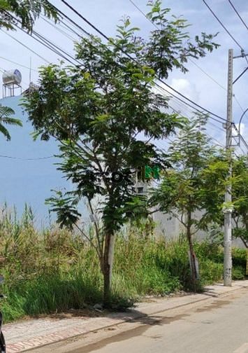 Hình ảnh Đất vàng 89m2 Nguyễn Duy Trinh, P. Bình Trưng Đông, Q2, giá 3 tỷ 2,SHR