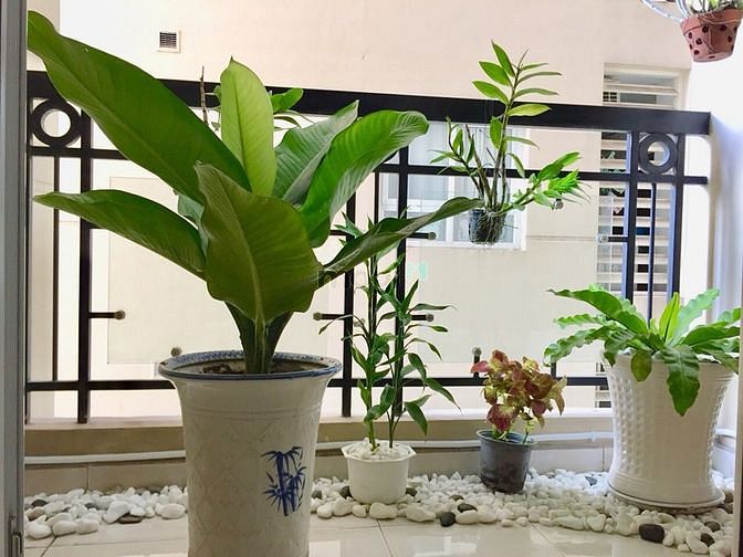 Hình ảnh CH Phúc Yên 1, DT 100m2, 3PN, Full NT, giá 13tr/tháng.