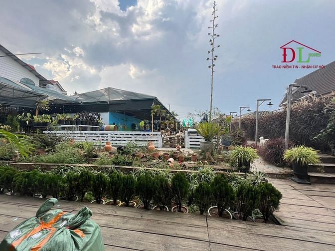 Hình ảnh Bán đất mặt tiền Vạn Hạnh phường 8 Đà Lạt thích hợp kinh doanh- MN3100