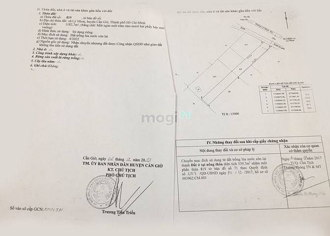 Hình ảnh Đất mặt tiền Lý Nhơn, xã Lý Nhơn, Cần Giờ. Có sẵn thổ cư, 5,5 tỉ/1000m
