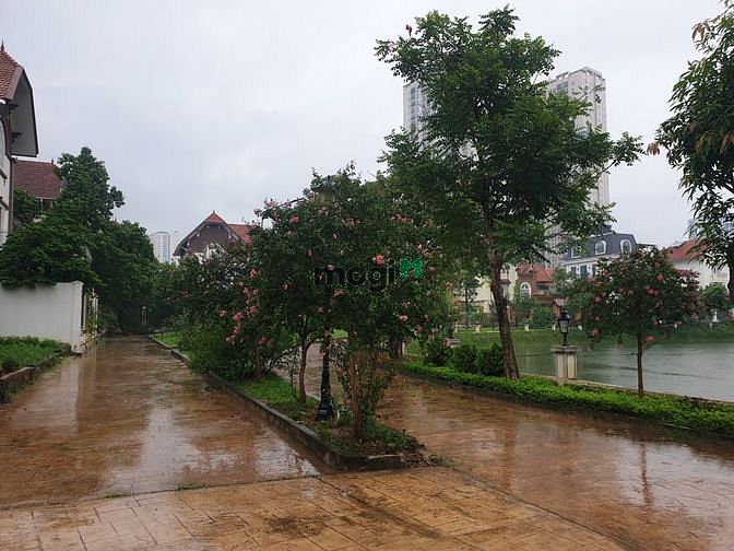 Hình ảnh Bán biệt thự KĐT Thiên Đường Bảo Sơn, cách 2 dãy ra hồ Bảo Sơn giá 16t