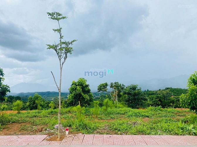 Hình ảnh GIỮ CHỖ lô đất nền biệt thự, S 407m2 (200m2 ONT), SHR, giá rumo 6,2 tr