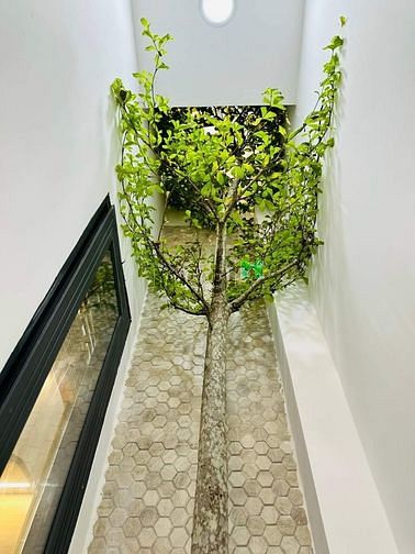 Hình ảnh TÌM MÃI KHÔNG RA nhà D2 Q. Bình Thạnh 54m2 chỉ 2tỷ4 HXH