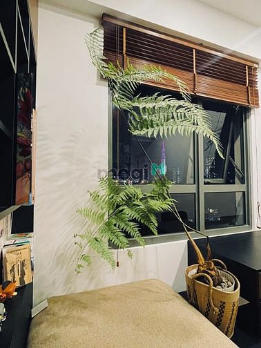 Hình ảnh THIẾT KẾ CỰC SANG! Bán gấp Trang Chủ MB66.COM / Đăng Ký Tặng 66K Masteri Thảo Điền 2pn full nt 5.1 tỷ