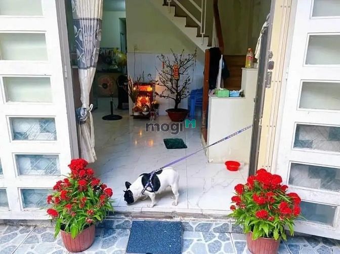 Hình ảnh ĐẸP NGẤT NGÂY NHÀ Lê Văn Duyệt Bình Thạnh 59m2