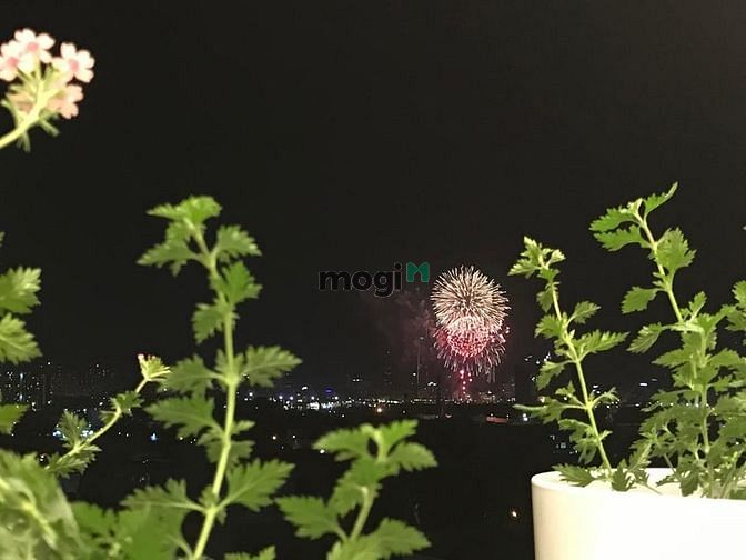 Hình ảnh Cho Thuê Jamona Height 2PN-73m²-Full -View ngắm Pháo Hoa-giá thuê 12tr