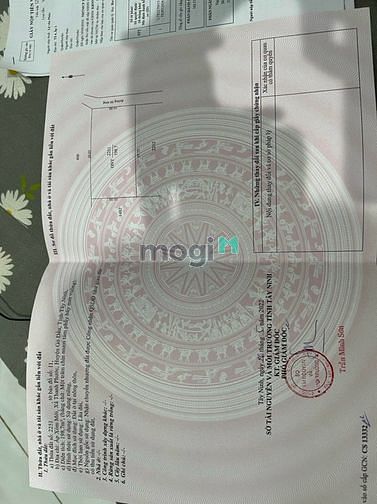 Hình ảnh Bán gấp lô đất thổ cư gần 200m2, Gò Dầu, SHR, Giá 390 Triệu.