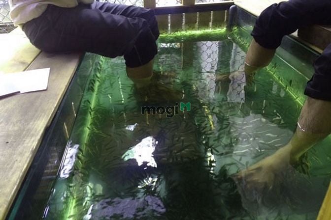 Hình ảnh cho thuê Mặt Đường Láng, kinh doanh đỉnh 221m2 giá chỉ 30tr/tháng