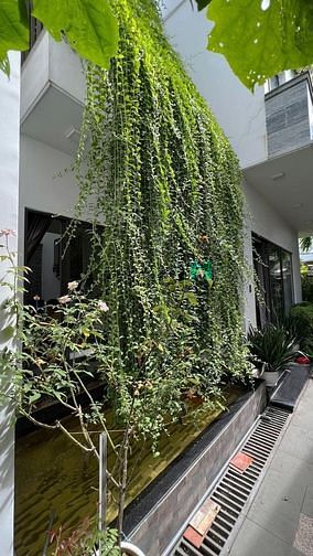 Hình ảnh 𝗖𝗵𝗼 𝘁𝗵𝘂𝗲̂ 𝗕𝗶𝗲̣̂𝘁 𝘁𝗵𝘂̛̣ 𝗦𝗮̂𝗻 𝘃𝘂̛𝗼̛̀𝗻 𝟰𝗣𝗡