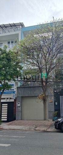 Hình ảnh Nhà 3,5 tấm MT 5*20 có nội thất khu tên lửa