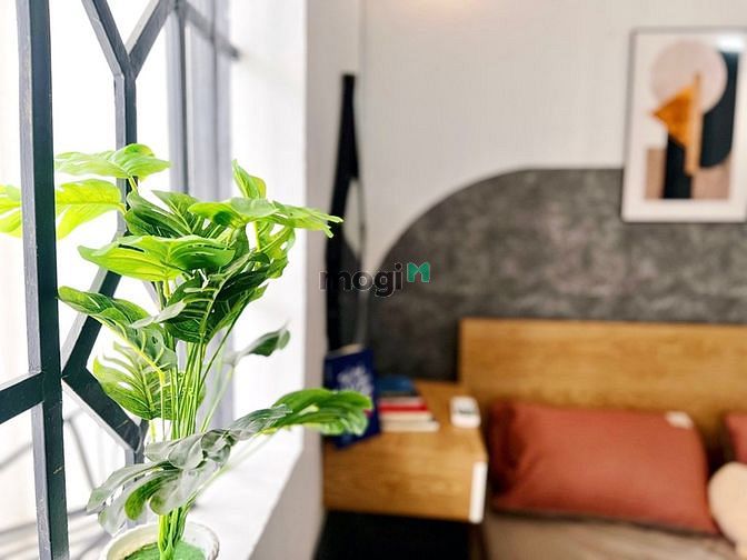 Hình ảnh CHDV 1PN tách bếp siêu rộng gần Cộng Hoà - Trường Chinh