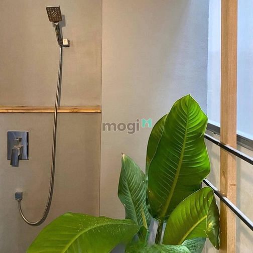 Hình ảnh Căn Hộ Cho Thuê Balcon/Cửa sổ Chill_Ngay Chợ Bà Chiểu_BT✨🌈
