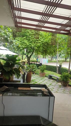 Hình ảnh Bán 450m2 siêu Biệt Thự COMPOUND view sông Sài Gòn hoa lệ.
