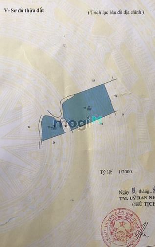 Hình ảnh Đất 540k/m2 tại xã Bình Khánh, Cần Giờ. Cách đường Rừng Sác 700m.