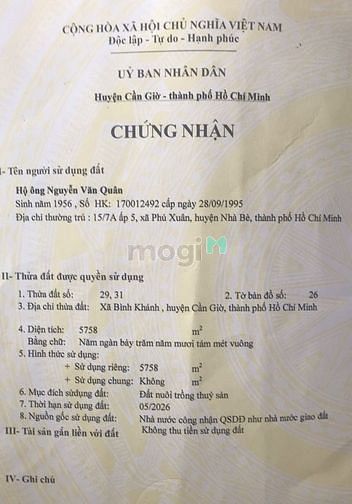 Hình ảnh Đất 540k/m2 tại xã Bình Khánh, Cần Giờ. Cách đường Rừng Sác 700m.