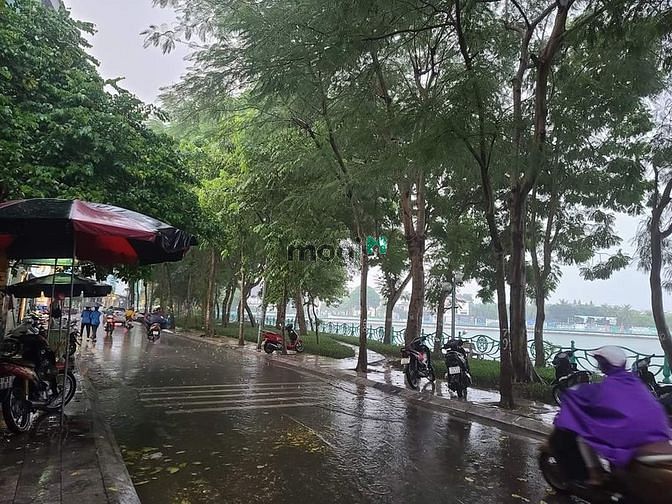 Hình ảnh Bán gấp ĐẤT Nhật Chiêu. 235m. Oto đỗ cổng, 20m ra hồ, giá siêu lướt