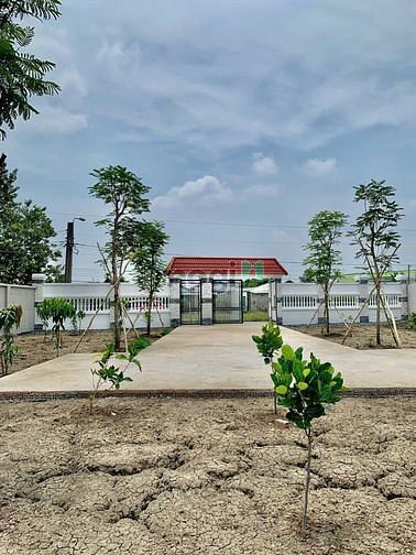 Hình ảnh Bán đất MT Lộc Trung, Mỹ Lộc, Cần Giuộc, Long An