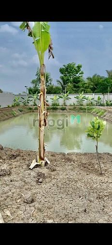Hình ảnh Bán đất MT Lộc Trung, Mỹ Lộc, Cần Giuộc, Long An