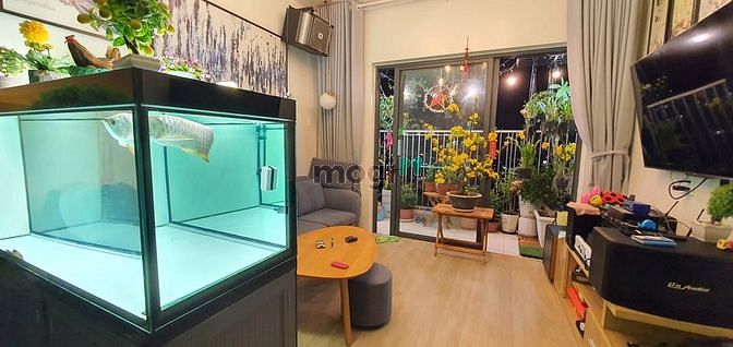 Hình ảnh HÚ HỒN HÀ CH Viva Riverside Q6 70m2 Chỉ 1,6 tỷ 2PN