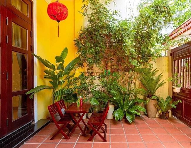 Hình ảnh Cho thuê nhà Sân Vườn khu Sơn Trà