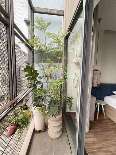 Hình ảnh DỌN VÀO Ở NGAY An Gia Garden Tân Phú 64m2