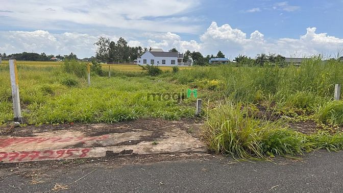 Hình ảnh Cần Tiền Bán Gấp Đóng Tiền Học Cho Con Đất Thổ Cư MT Đường Số 1