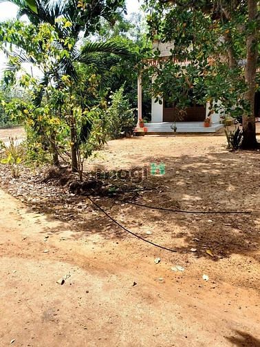 Hình ảnh bán gấp sào đất 1000m2 có thổ cư, đường betong giá 395tr