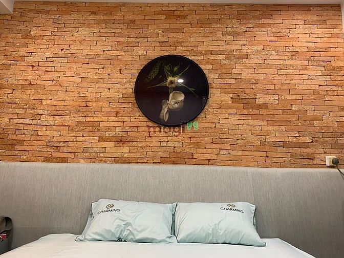 Hình ảnh Studio trệt có sân riêng- cho thuê ngắn và dài hạn-Thạch Thị Thanh Q1