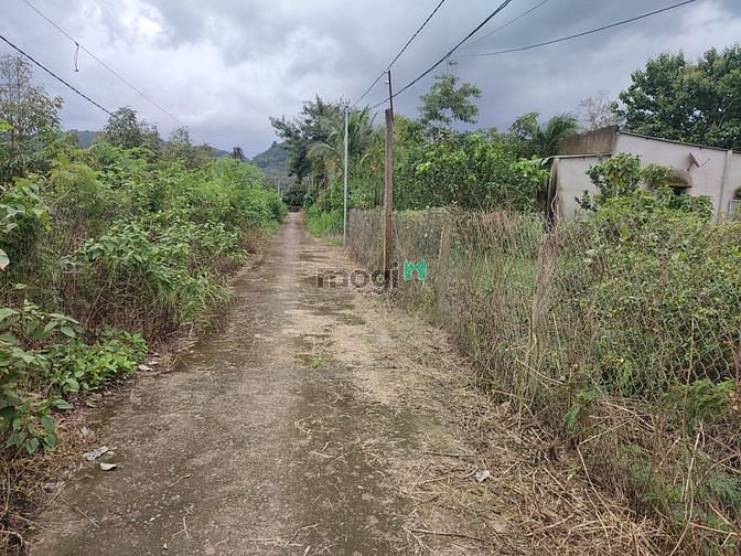 Hình ảnh ✅Bán Đất Nam Cát Tiên, Huyện Tân Phú, Đồng Nai