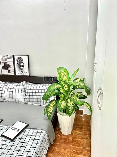 Hình ảnh 🏡Căn Hộ Cao Cấp - Full Nội Thất - Bancol Siêu Thoáng - Ngay Vườn Lài