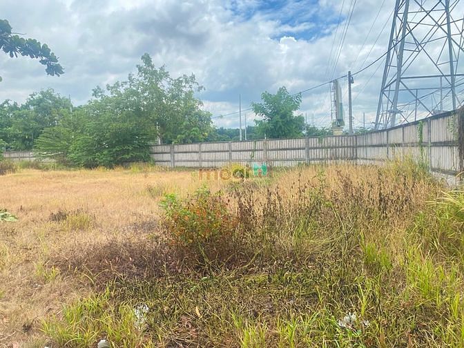 Hình ảnh Cho thuê 5.000m2 đất nằm ngay chân cầu gò dưa gần sông