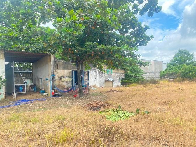 Hình ảnh Cho thuê 5.000m2 đất nằm ngay chân cầu gò dưa gần sông