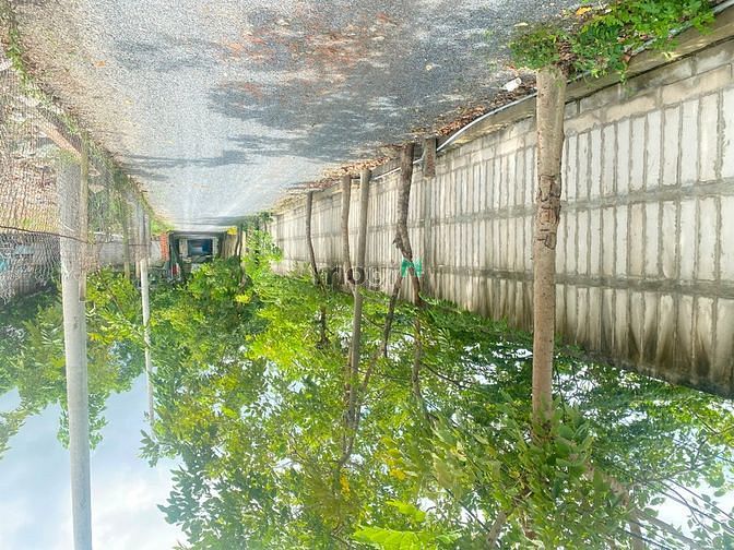 Hình ảnh Cho thuê 5.000m2 đất nằm ngay chân cầu gò dưa gần sông
