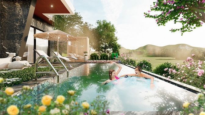 Hình ảnh Có nên sở hữu biệt thự ivory villas & resort 310m2 ?