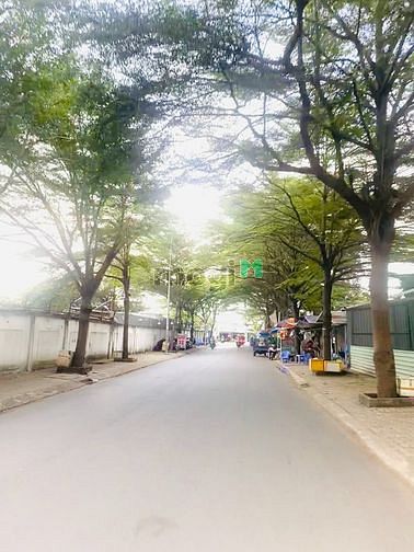 Hình ảnh Bán 2 Lô Đất LK 116m2 Chưa Sang Tay Ở Hồ Học Lãm, Giá Thật 100%, SHR
