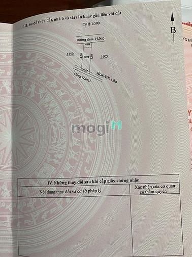 Hình ảnh Đất vĩnh phú đường xe tải tới đất , thoáng sạch, khôn ngập , sổ riêng