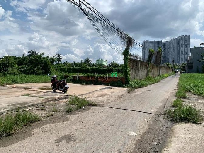 Hình ảnh Đất vĩnh phú đường xe tải tới đất , thoáng sạch, khôn ngập , sổ riêng