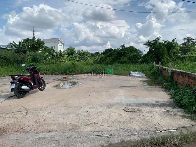 Hình ảnh Đất vĩnh phú đường xe tải tới đất , thoáng sạch, khôn ngập , sổ riêng