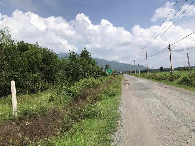 Hình ảnh BÁN GẤP ĐẤT 1165M CÓ 400M thổ cư giá 750 triệu