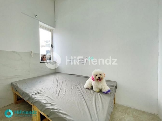Hình ảnh 🔥2PN 1PN, Duplex Vô Tư Ở Ghép Lên Máy Giặt Riêng, Thang Máy, Bảo Vệ🔥