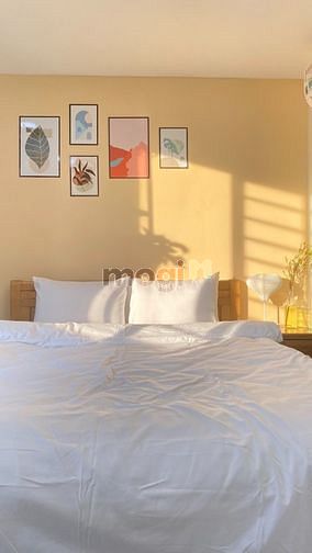 Hình ảnh STUDIO Cửa Sổ Lớn Full NT_Gần ĐH Hoa Sen_ĐH Mở_ĐH Văn Lang_ĐH Sài Gòn