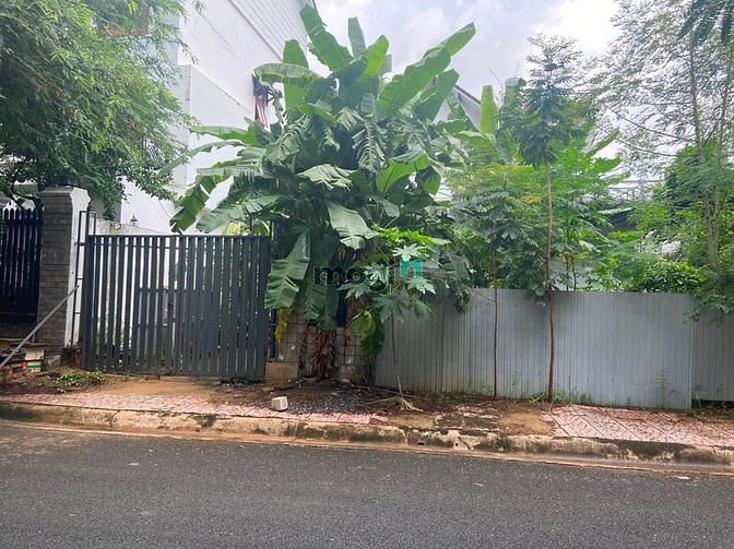 Hình ảnh Đất cho thuê 15tr/th 168m2 (14,5x18,5m) LH gặp Tân hỗ trợ xem đất 24/7