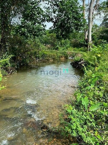 Hình ảnh Bán đất có sẵn thổ cư, view suối mát mẻ, giá rẻ 250tr.