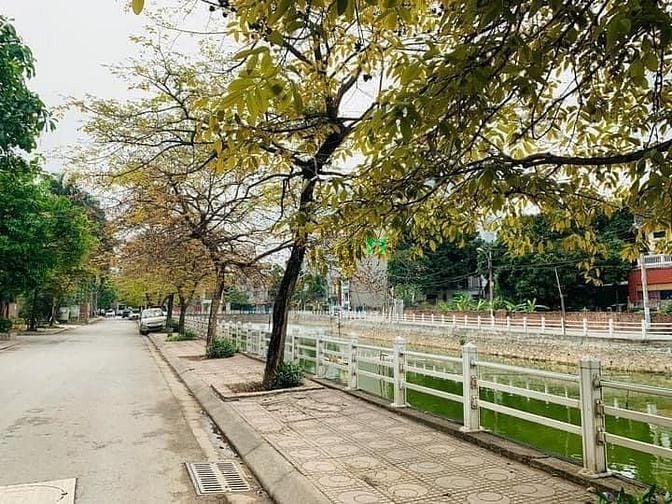 Hình ảnh ♦️♦️ SIÊU PHẨM Ngon Bổ Rẻ 3,2 tỷ , BÁN 55m ĐẤT TỔ 19 Ngọc Thuỵ -Ô TÔ