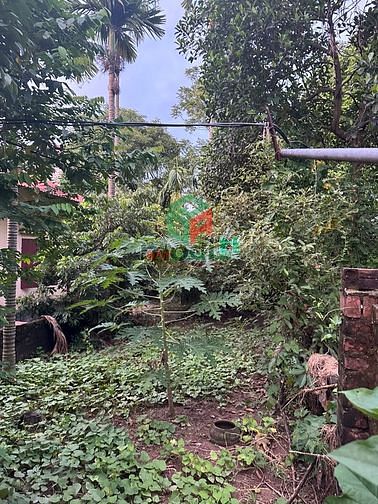 Hình ảnh Bán lô góc 56.6m2 đất cổ loa, đông anh - 2x tr/m2