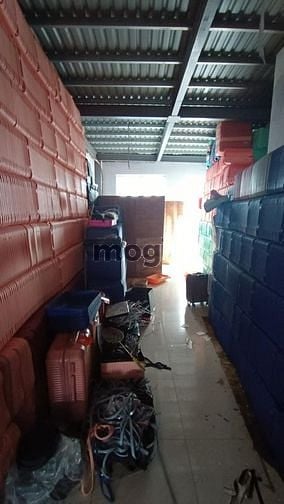 Hình ảnh Cực phẩm trong hàng cực phẩm của tân phú