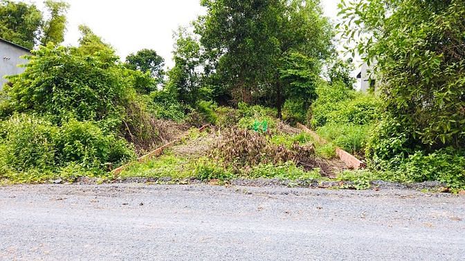 Hình ảnh Bán Đất Gò Dầu, Đường 12 Mét, Cách Nút Giao HCM 500 Mét, Sổ Riêng