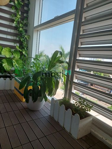 Hình ảnh Cho Thuê Văn Phòng Sunrise City 9Tr 44m2