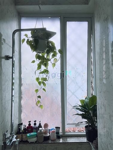 Hình ảnh Studio Tone Trắng Sáng Full Nội Thất Ngay Khu Sân Bay Tân Bình