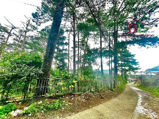Hình ảnh Bán đất Khe Sanh phường 10 Đà Lạt có thổ cư view thành phố  - MN2022